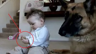 Малышка отобрала косточку у собаки, то что сделала собака просто поражает!