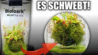Mini Terrarium mit schwebenden fleischfressenden Pflanzen | Bioloark