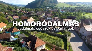 HOMORÓDALMÁS vadalmák, csőszök és barlangok