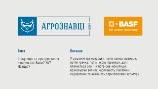 У сівозміні іде еспарцет, потім озима пшениця