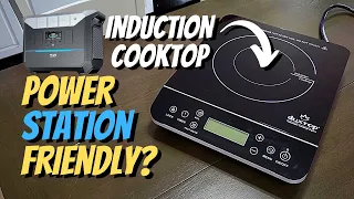 Cooking On SOLAR Power, Is This A Solution? - Induction Cooktop by Duxtop
