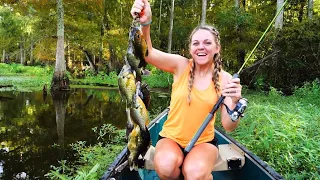 We Found BIG BLUEGILL and RED EARS Hiding in the SWAMP! (Catch Clean Cook!)