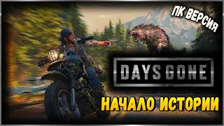 Days Gone на ПК Начало ➤ Жизнь после Прохождение