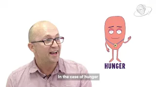 Professor Andrews: Why hunger affects behaviour