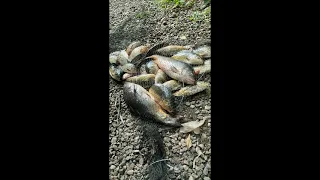 Рыбалка кмв озеро зеркало
