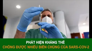 Phát hiện kháng thể "dễ dàng vô hiệu hóa" nhiều biến chủng SARS-CoV-2