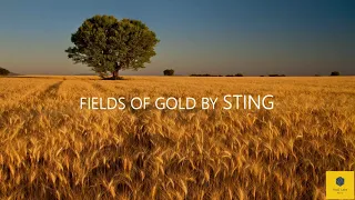 Sting - Fields Of Gold / 432Hz