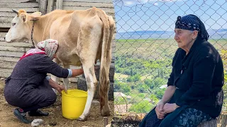 CAUCASIAN COUNTRY LIFE | MILKING THE COW AND COOKING YAYMA DISH | TOMATO AND GREENS WITH EGGS