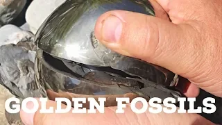 Golden Fossils: Ep 1