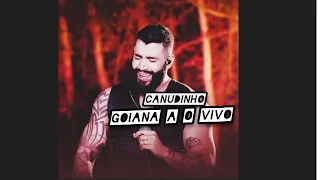 Gusttavo Lima canudinho a o vivo em Goiânia solo ("MTG FK")