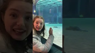 kids at the aquarium