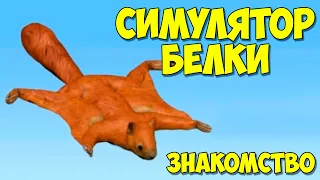 СИМУЛЯТОР БЕЛКИ #1 Ищу дом для белочки и золотые желуди