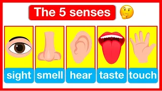 5 Senses Full Video | Sight 👁️ , Smell 👃, Hearing👂, Taste 👄, Touch ✋ | Easy Learning Video