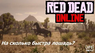 Red Dead Online. How fast is the horse / На сколько быстра лошадь?