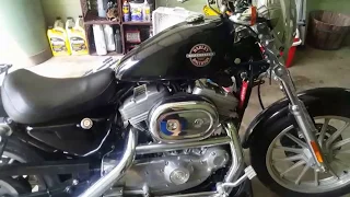 HD Sportster Oil and Primary Fluid Change How-To