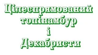 КВН "Кубок поколінь 2014" Цілеспрямований топінамбур і Декабристи