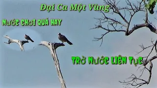 Nước chơi chỉ có thể là phê, siêu phẩm thúc gù thúc lèo, víp Brồ🇻🇳. Ae tự thẩm con bổi.clip26 TýMinh