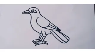 How to draw a Myna || Bird myna drawing step by step || Myna drawing tutorial.