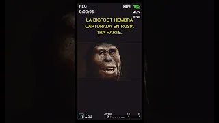 ZANA, LA BIGFOOT CAPTURADA EN LAS SELVAS DE RUSIA.