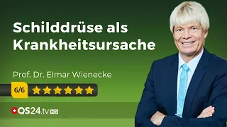 Schilddrüse ist schuld an vielen Störungen & Krankheiten |@QS24