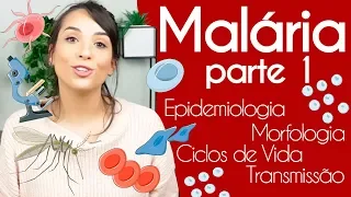 Malária: Plasmodium sp. + DICAS PARA SUA PROVA PRÁTICA | Parte 1| PARASITOLOGIA #3