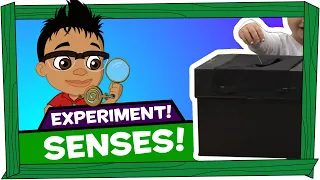 Kid Experiments: Senses - Darwin and Newts