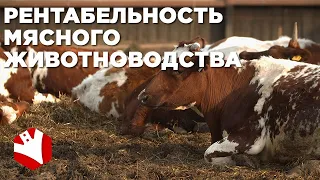 Рентабельность ферм | Молочное и мясное животноводство | КФХ Герефорд