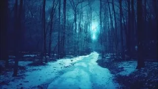 Anahata - Darkpsy Forest Psytrance Winter Mix 2015