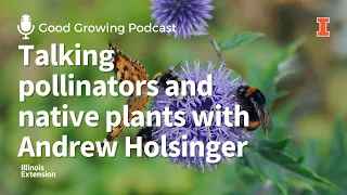 Talking Birds, Bees, Flowers, and Trees with Andrew Holsinger