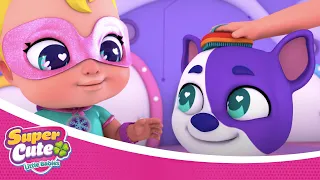 🌟 NEW! 🌟 SUPERCUTE LITTLE BABIES - Back home 🐶 🐶 [3x2] 🍀🍼 | CARTOON for KIDS in ENGLISH