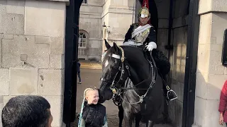 A Lot Of Adorable Moments, Horse Kissing and Man Tries To Kiss The Horse