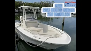 The Perfect Boat for All Your Needs! 2023 Boston Whaler 250 Dauntless at MarineMax St. Pete!