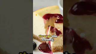 Cheesecake Chronicles  A Sweet Journey