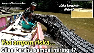 inilah momen LANGKA ! Bertemu riska sedang berjemur didarat,full body..humans befriend crocodiles