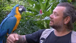 As Aventuras do Richard no Paraná: Parque das Aves (Foz do Iguaçu - PR)