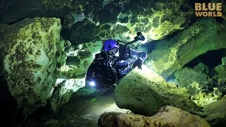 Florida Cave Diving | JONATHAN BIRD'S BLUE WORLD