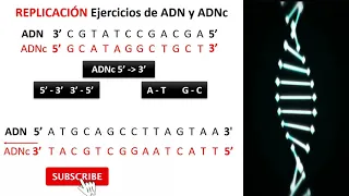 Ejercicios de Replicación - Fácil y rápido -