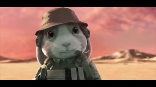 Perang kelinci part 2 (hiburan) #perangkelinci #peterrabbit