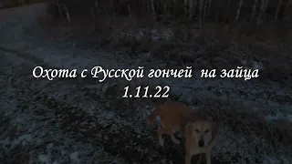 Охота с Русской гончей на зайца 1 11 22