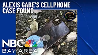 Police Find Cellphone Case Belonging to Missing Oakley Woman Alexis Gabe