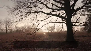 Lietuvių liaudies daina/Lithuanian folk song_Tuo ulyčiuo (su žodžiais)