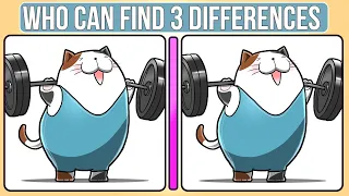 FUNNY CATS in FIND the DIFFERENCES game [Spot the difference]🔥