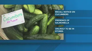 Florida-based produce company recalls cucumbers in 14 states due to salmonella risk