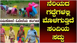 ಮಕ್ಕಳು ಗದ್ದೆ ಕಡೆಗೆ ಬರುತ್ತಿಲ್ಲ|ನಾವು ಎಲ್ಲರೂ ಒಟ್ಟಾಗಿ ದಿಮಿಸೋಲೆ,ಓಬೇಲೆ,ಸಂದಿ ಹಾಡುತ್ತಾ ನೇಜಿ ನೆಡುತ್ತಿದ್ದೇವೆ