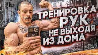 СИЛЬНЫЕ РУКИ НЕ ВЫХОДЯ ИЗ ДОМА