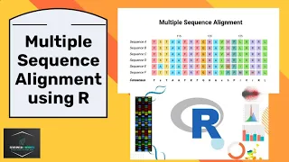 Multiple Sequence Alignment using R