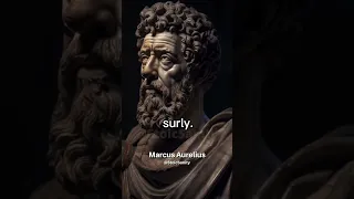 Stoic quote for a strong mind - Marcus Aurelius Meditations #shorts