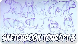 MASSIVE Old Sketchbook Tour Part 3 - NOT SO GRAND FINALE