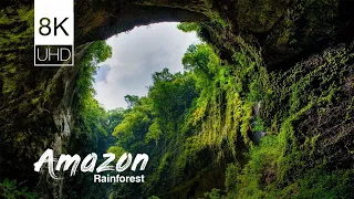 Amazon rainforest 8K VIDEO ULTRA HD