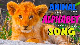 ANIMAL ALPHABET SONG | KIDS ABC A-Z Animals